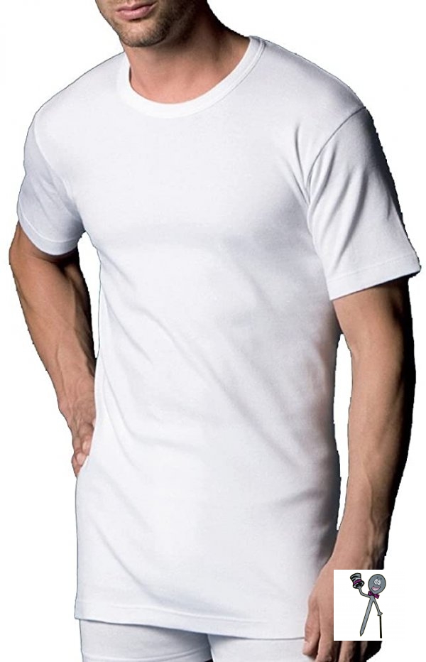 Camiseta algodón thermal manga corta Abanderado
